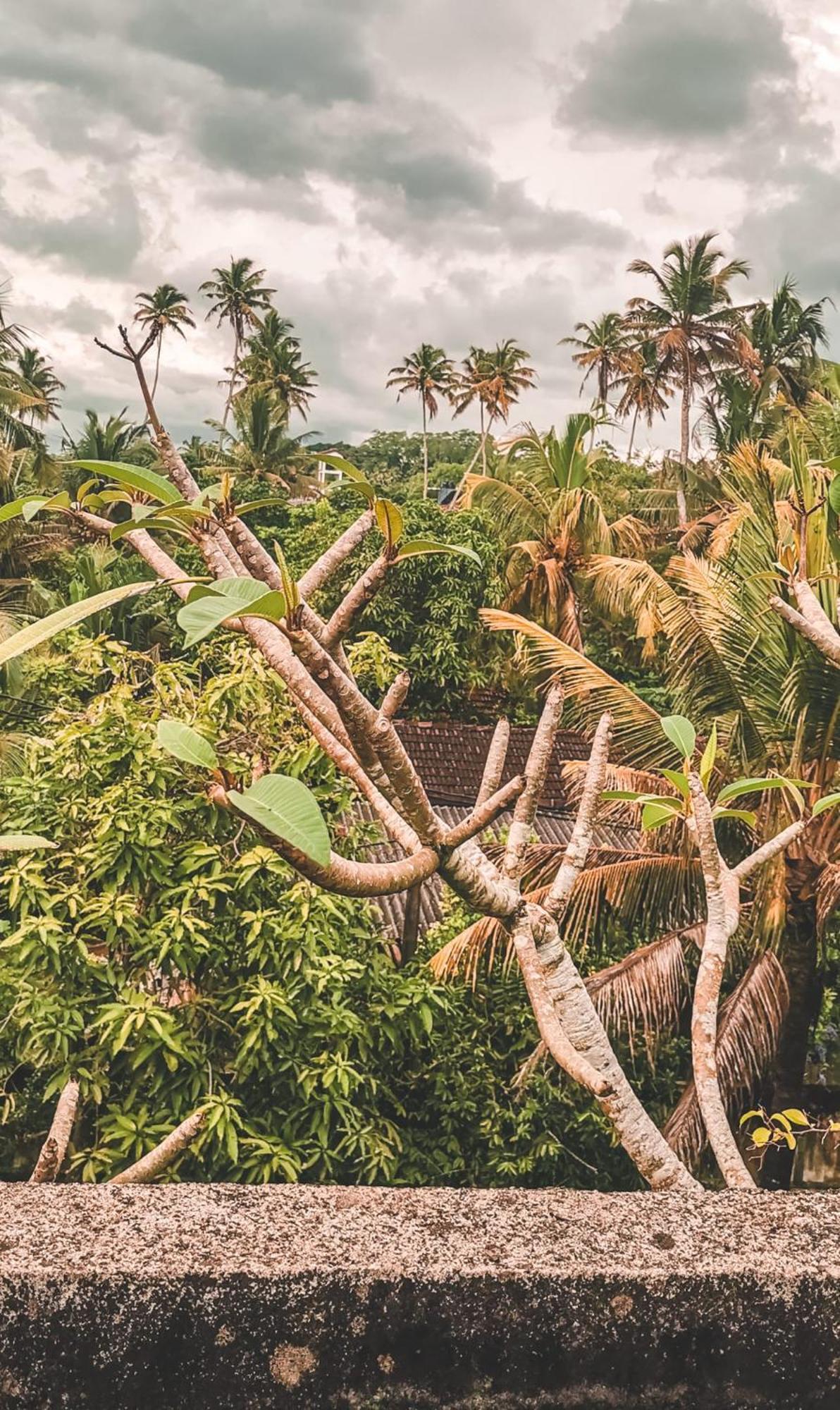 Weligama Bay Eco Villa Kültér fotó